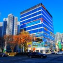 다이소 건너편 횡단보도 이미지