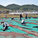 회진면행정복지센터 이미지