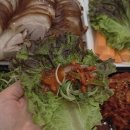 명동왕족 티스토리