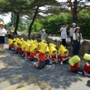 동국대부속유치원 이미지