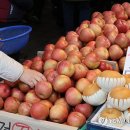 서울축산(주) 이미지