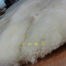 믿음 세탁 이미지