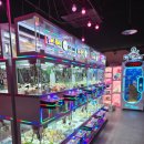 레인보우 뽑기샵 이미지