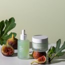 레하케어 | [GTEP 18기] 2024 서울 레하 홈케어 전시회