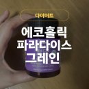 에코홀릭 | 에코홀릭 파라다이스 그레인 버닝 후기, 여름맞이 체중관리 시작