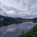 엘림커피 네이버블로그