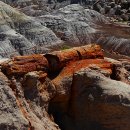 WASH LAND | 미 국립공원 캠핑여행 8. 애리조나 여행. Petrified Forest 국립공원 페인티드 사막 산책