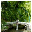 상림목욕탕 이미지