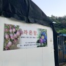 라온팜 이미지