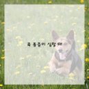 편안약국 - 전주시 완산구 용리로 54 | 편안약국