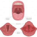 맑은소리휴한의원 | 맑은소리휴한의원은 강남과 부산 두 곳에 있습니다