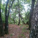 섬강농원 이미지