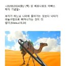 아빠스 이미지