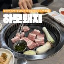 하모상가로 | N번째 방문하는 진주역 삼겹살 맛집 하모돼지
