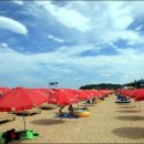 속초해수욕장 이미지