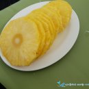 스쿠버블 이미지