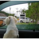 풀빛둥지펜션 이미지