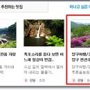 푸른솔농원 이미지