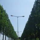 방초초등학교 이미지