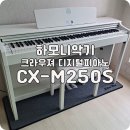 버스정류장 07-485 | 교육용 전자피아노 크라우져 CXM250S 설치!