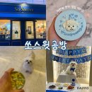 분당 강아지 생일케이크 주문제작 추천 판교 쏘스윗공방 내돈내산 후기