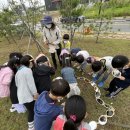 천안성성유치원 이미지