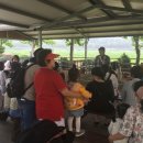 로뎀목장 이미지