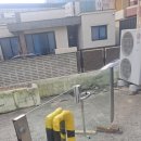 안정현동물병원 이미지