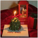 특별한 동물가게 이미지