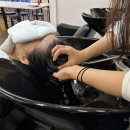 헤어자격 이미지