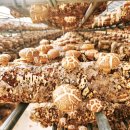 성보농장 이미지