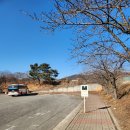 원투쓰리 포 라인댄스 | 반차쓰고 달리는 겨울 1월 에버랜드 사파리 범퍼카 판다 세컨하우스 어트랙션 웨이팅 후기 꿀팁