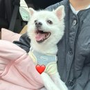 네일드네쥬