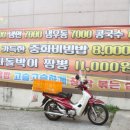 요리성손짜장 이미지