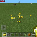 럭키포켓 이미지