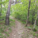 하사촌1 이미지