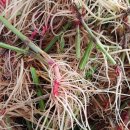 설악도서관 사거리 이미지