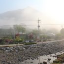 에버그린민박 이미지