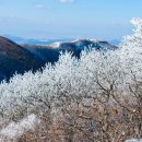 중담2주차장 이미지