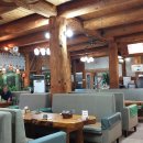 바위와소나무 이미지