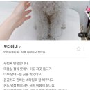 도다미네 이미지