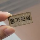 몽가모실 이미지