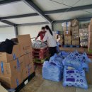 거상애견 이미지