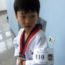 정도태권도체육관 이미지