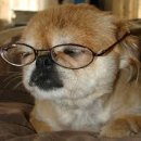 나루동물병원 이미지