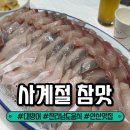 광덕3로1L | 안산 고잔신도시 대방어 철에 꼭 와야 하는 방어회 민어회 맛집 사계절참맛 가격