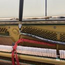 피아노교실 오전반 이미지