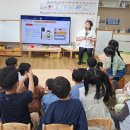 대정초교병설유치원 이미지