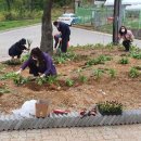 남촌도림동-12 이미지