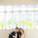 하얀웨딩 | 지니어스스튜디오 하얀 창문 배경 후기｜자연광이 예뻤던 웨딩촬영
